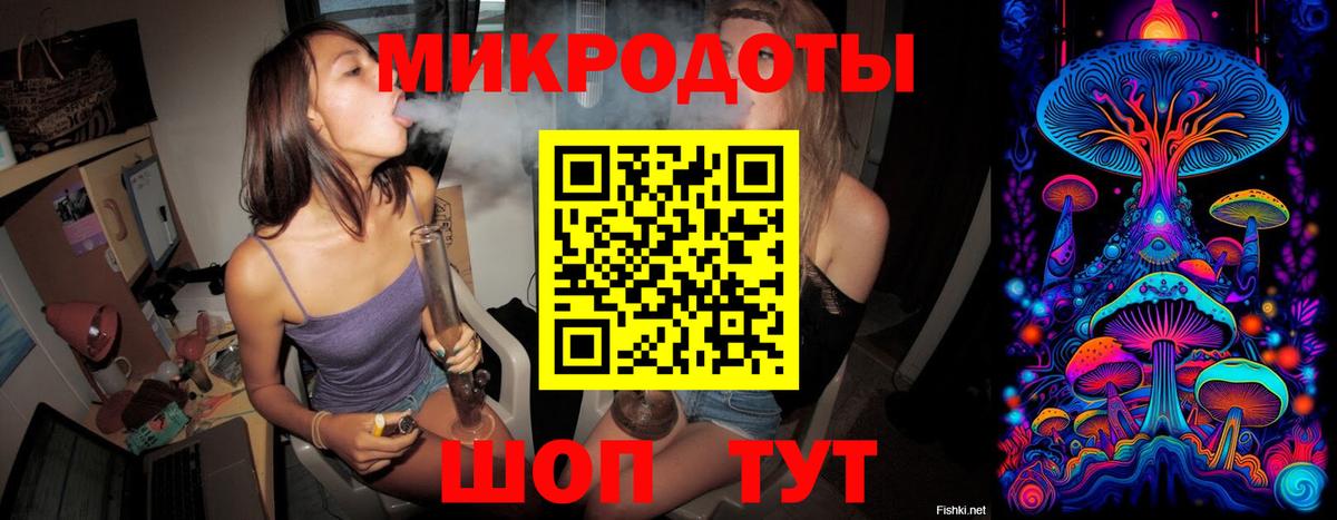 Псилоцибиновые грибы мицелий Карачаевск