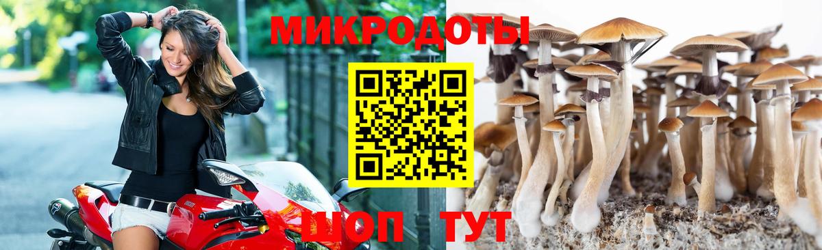 Галлюциногенные грибы MAGIC MUSHROOMS  Вход с VPN  Карачаевск 