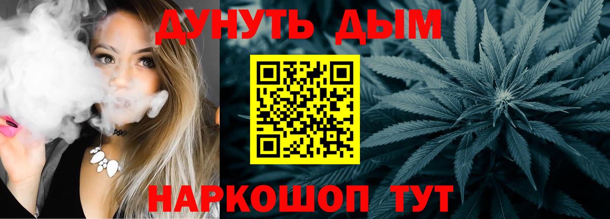 Марихуана план Карачаевск